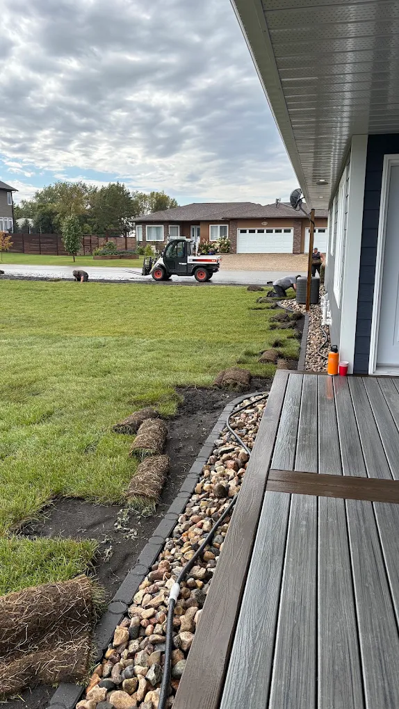 Fresh sod installation underway